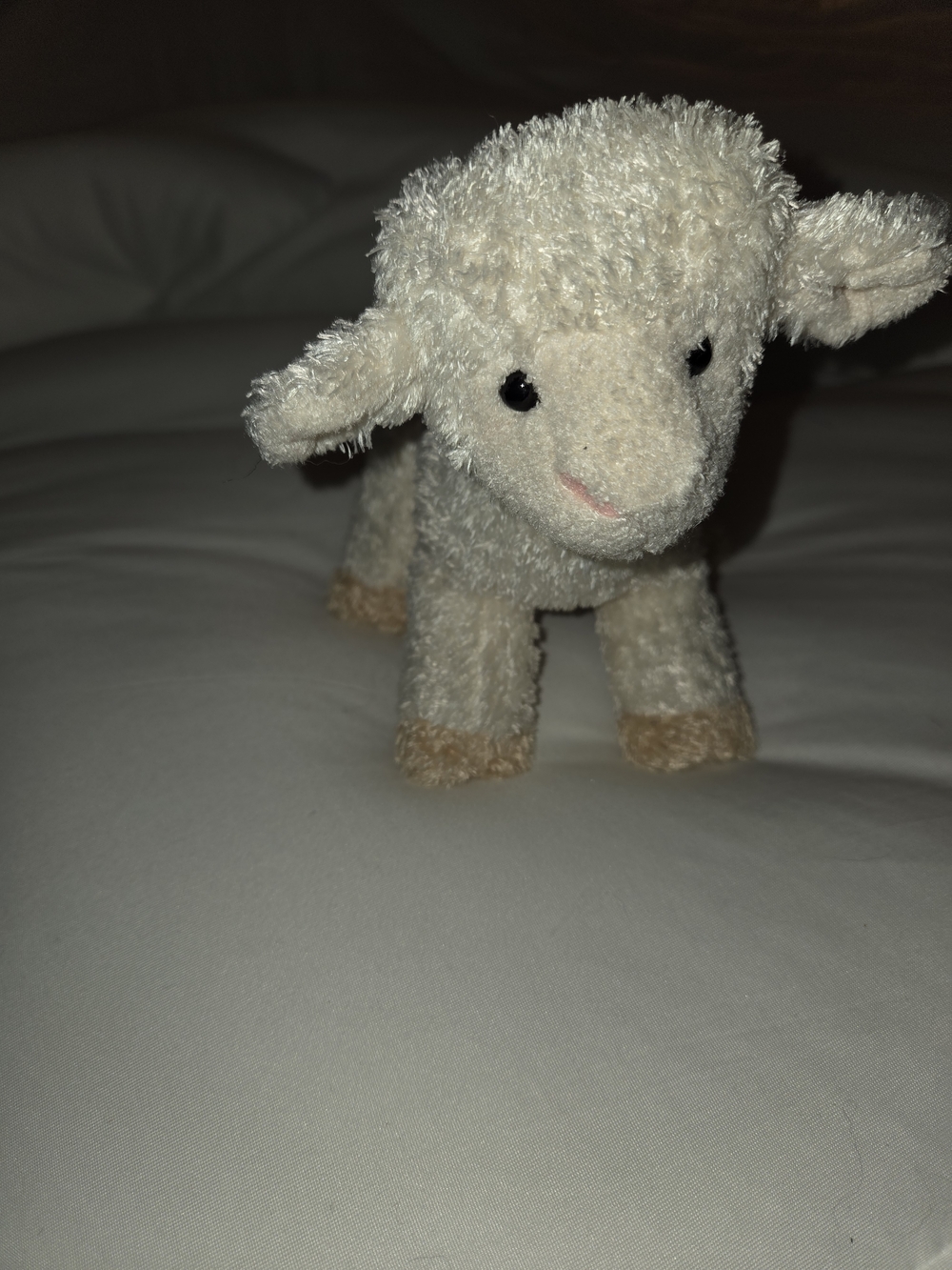 Plush Lamb Stuffed Animal in Cream and Tan - Soft Cuddle ToyDouglas Plush 8"